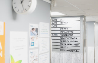 Hyvinvointialueen palveluita