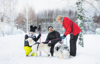 Kaksi naista, mies ja kaksi koiraa ulkoilemassa aurinkoisessa talvisäässä.