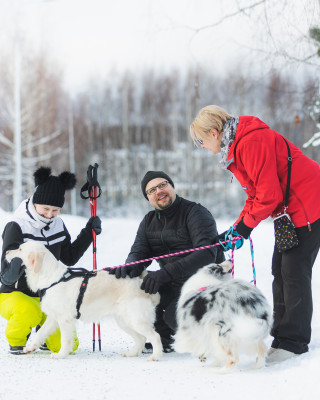 Kaksi naista, mies ja kaksi koiraa ulkoilemassa aurinkoisessa talvisäässä.